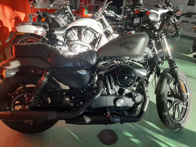HARLEY DAVIDSON XL 883 N 2018