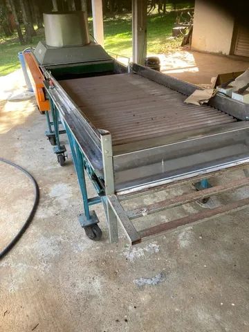 Selecionadora de tomates Cabrini - Foto 2