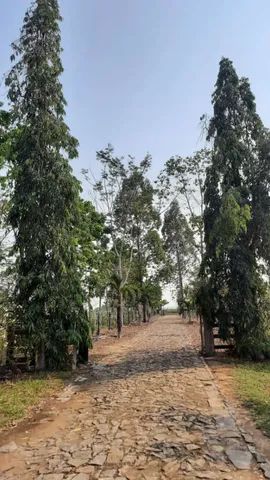OPORTUNIDADE, chácara de alto padrão próximo da cidade  - Foto 4