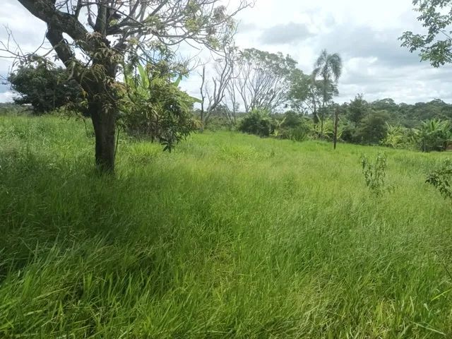 Chácara na região da Saia Velha/ Chifrudo com 31000m² - Foto 2