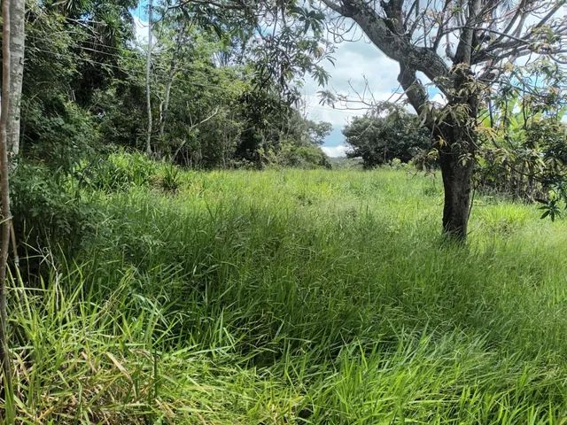Chácara na região da Saia Velha/ Chifrudo com 31000m² - Foto 5