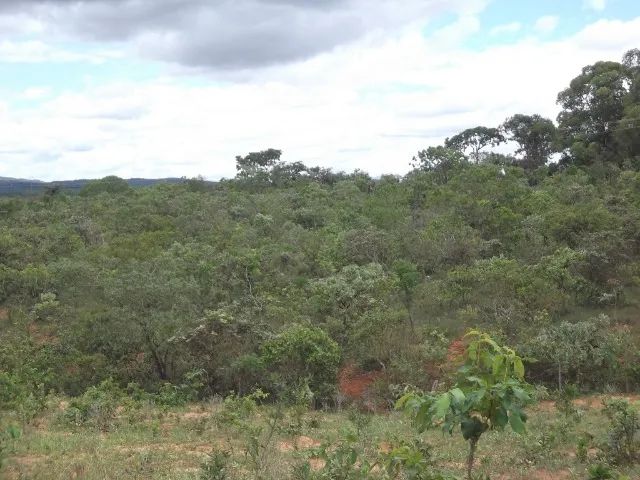 Terreno de 5ha, com luz e água encanada, próximo a vários comércios e muito mais. - Foto 5