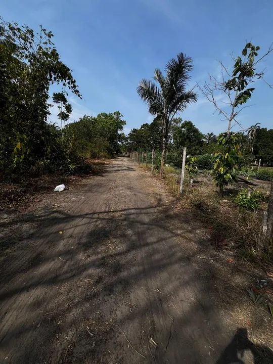 foto - Manaus - Alvorada