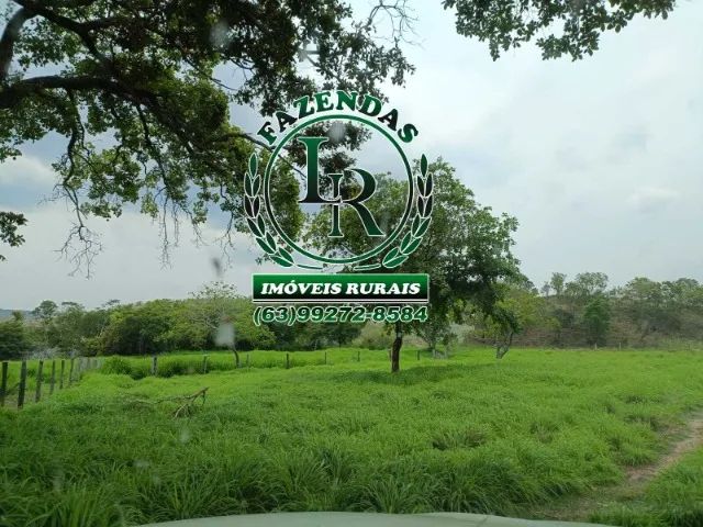 Fazenda 74 Alqueires  Tocantins Região de Araguaina - Foto 5