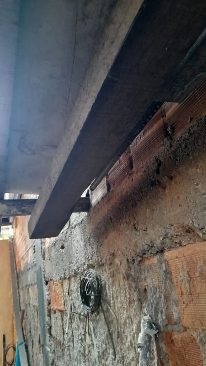 Madeira maciça 64629163563267121