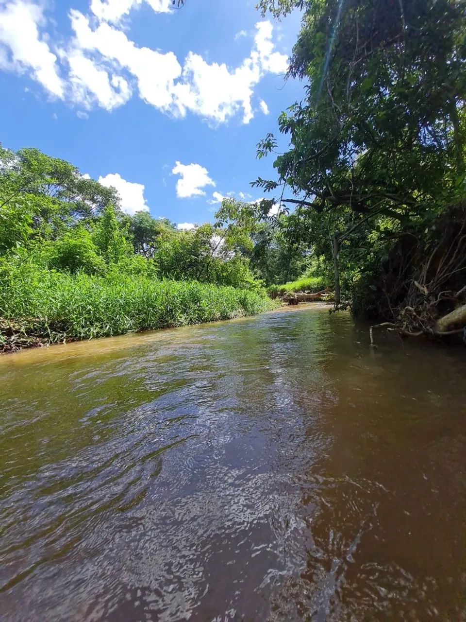 Vende -se. Chácara de 1 alqueire e 5 litros  - Foto 4