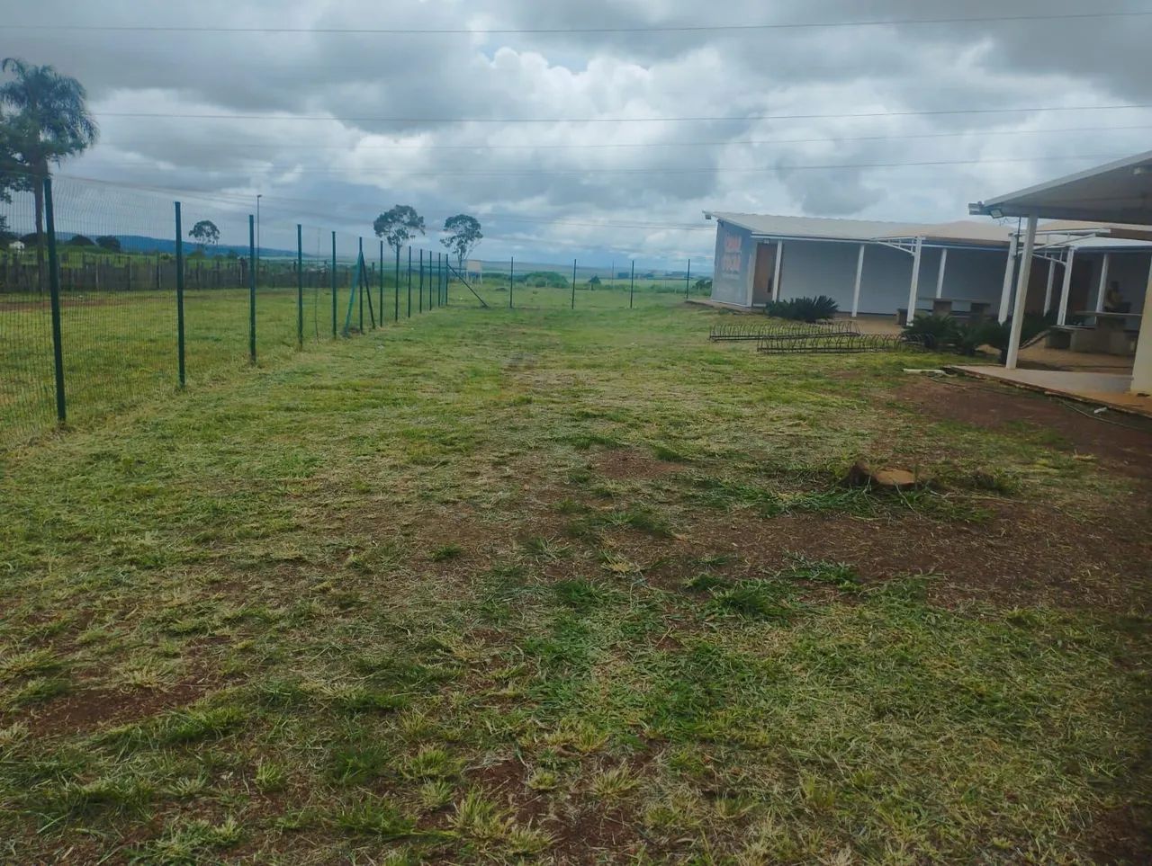 Serviços de jardinagem em geral - Foto 3