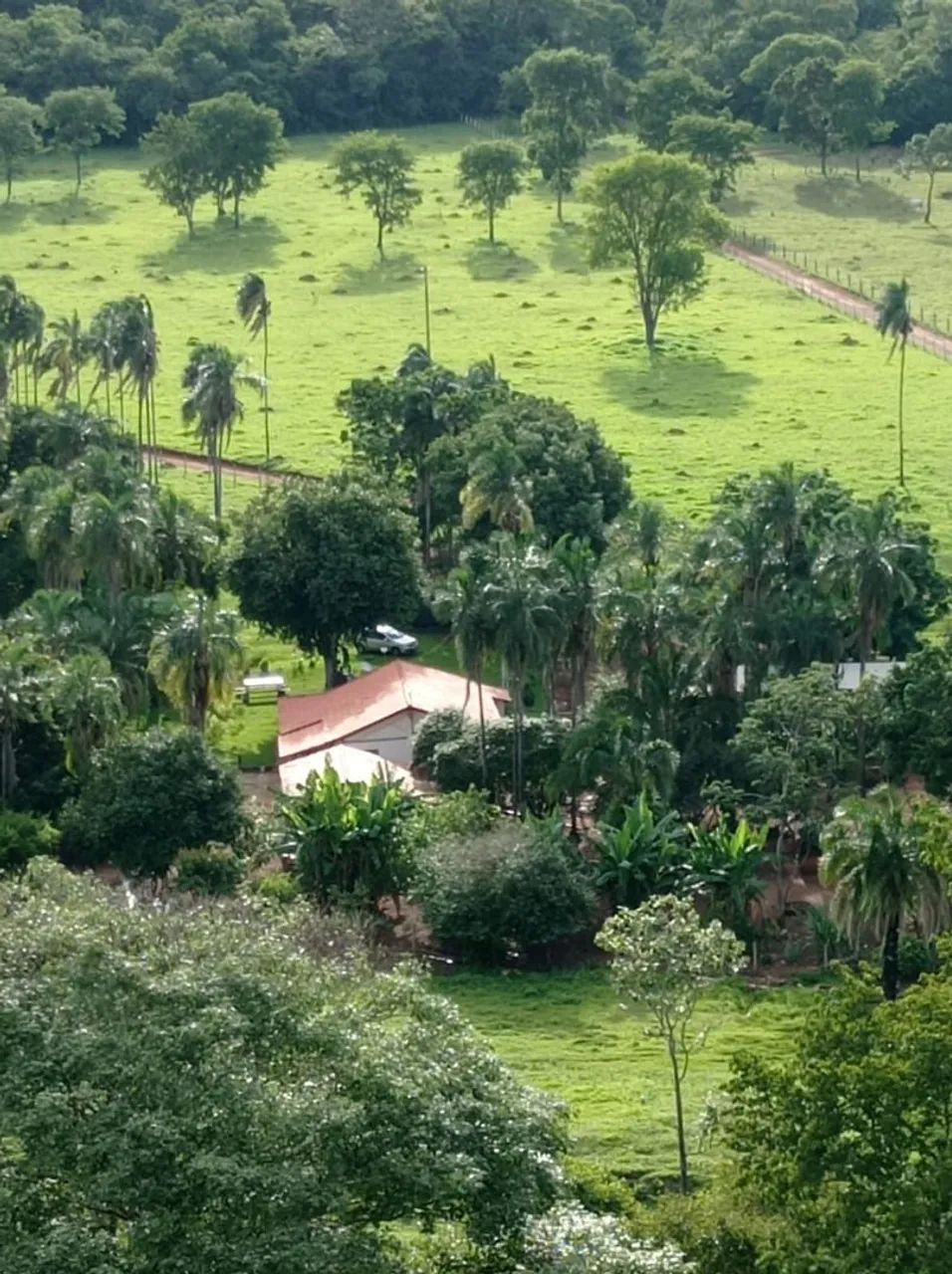 Chácara 5 alqueires em trindade 