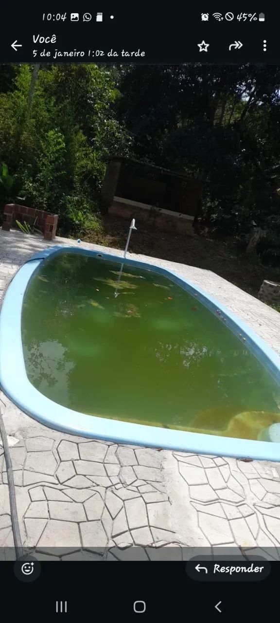 Trabalho com roço deroçadeira com limpeza de piscina  - Foto 5