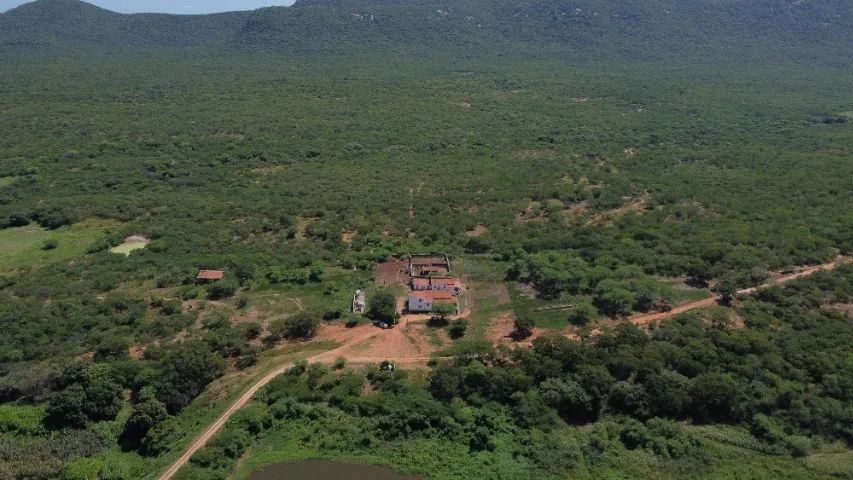 3 excelentes propriedades no Sertão da PB. - Foto 5