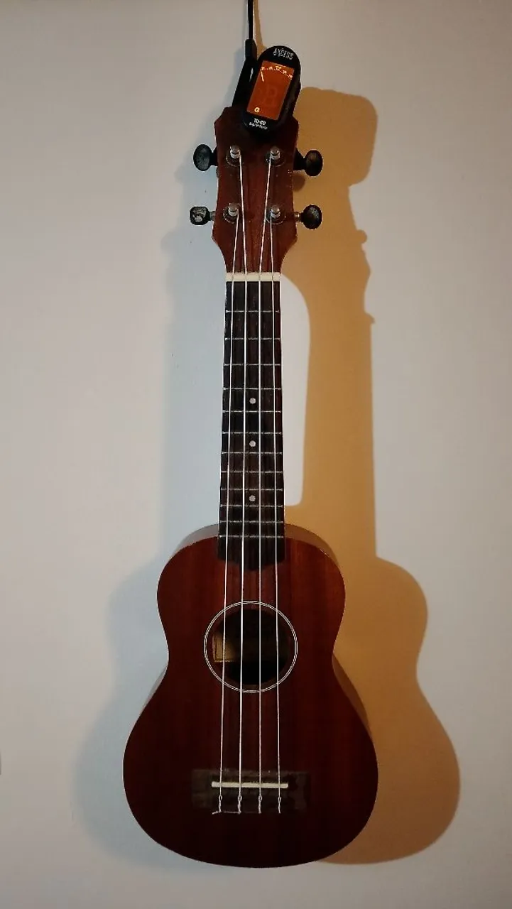 Ukulele Kalani 8135 - Música com Estilo e Qualidade!