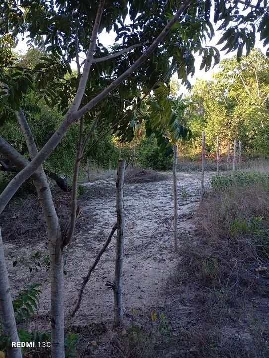 Terreno a venda, na associação do vila mar - Foto 2
