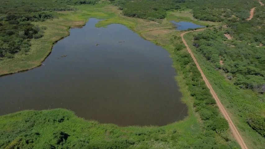 3 excelentes propriedades no Sertão da PB. - Foto 8