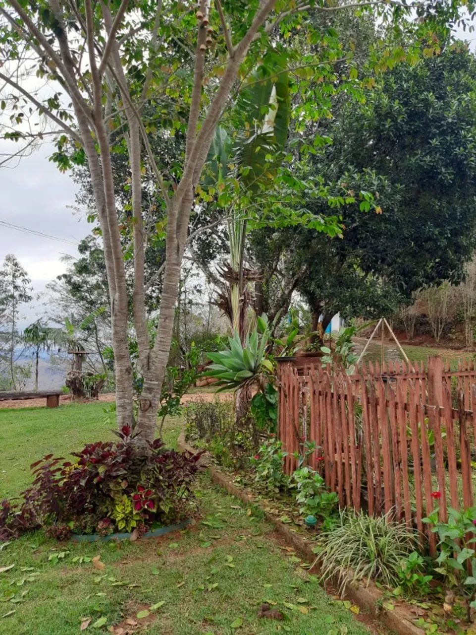 Sítio em Alegre estrada 482 - Foto 5