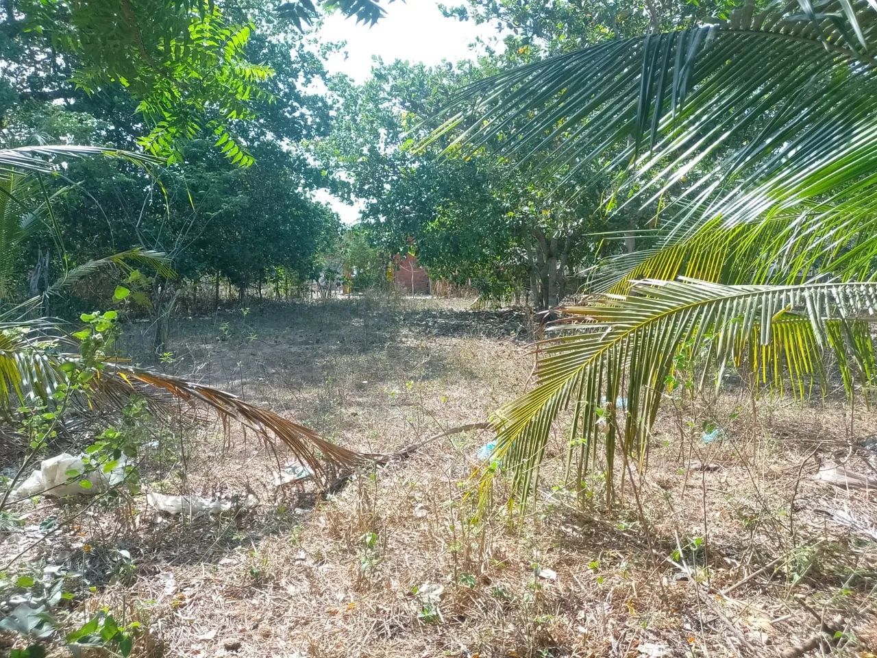 Vendo terreno em horizonte 