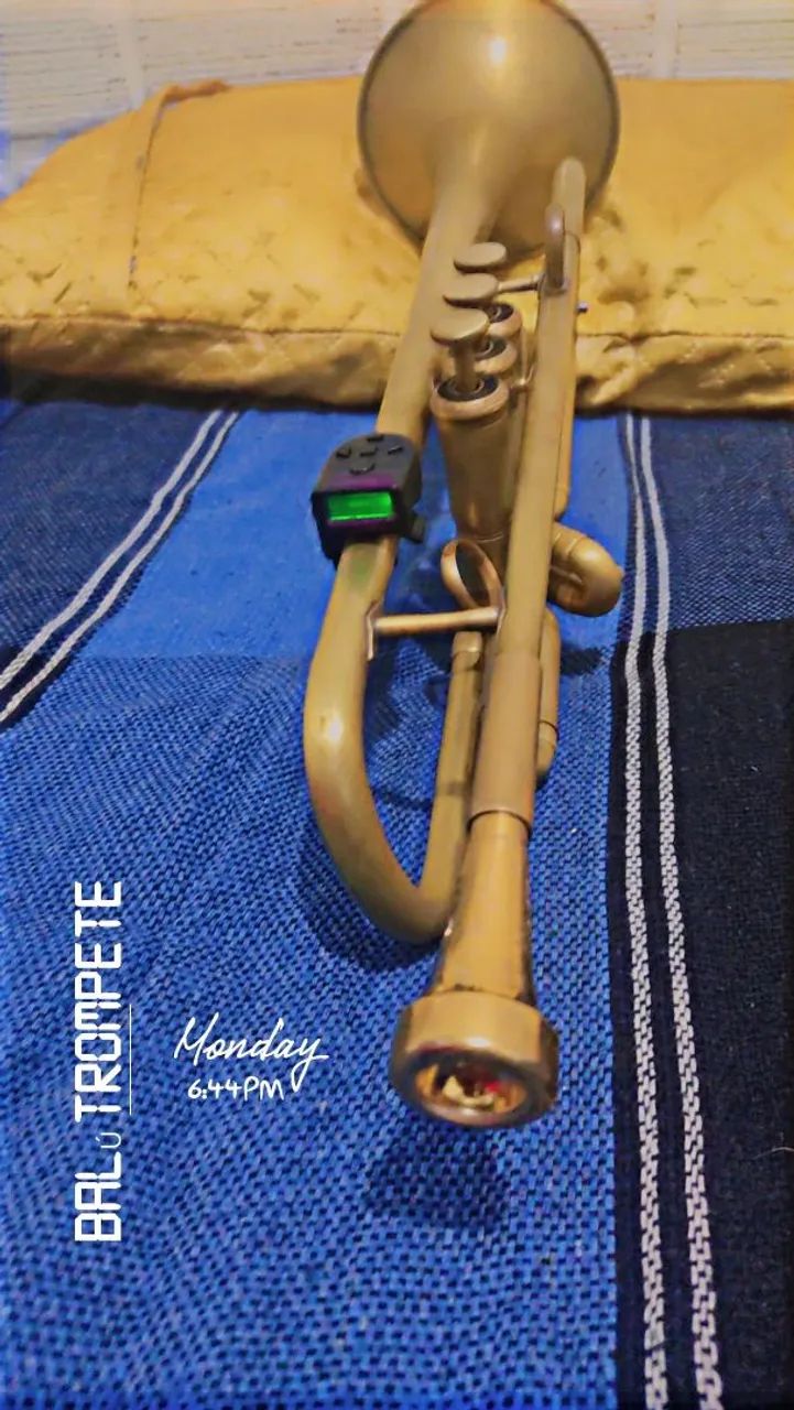 Instrumento  - Foto 3