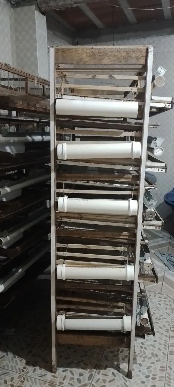 Gaiola para codorna64584931815298121