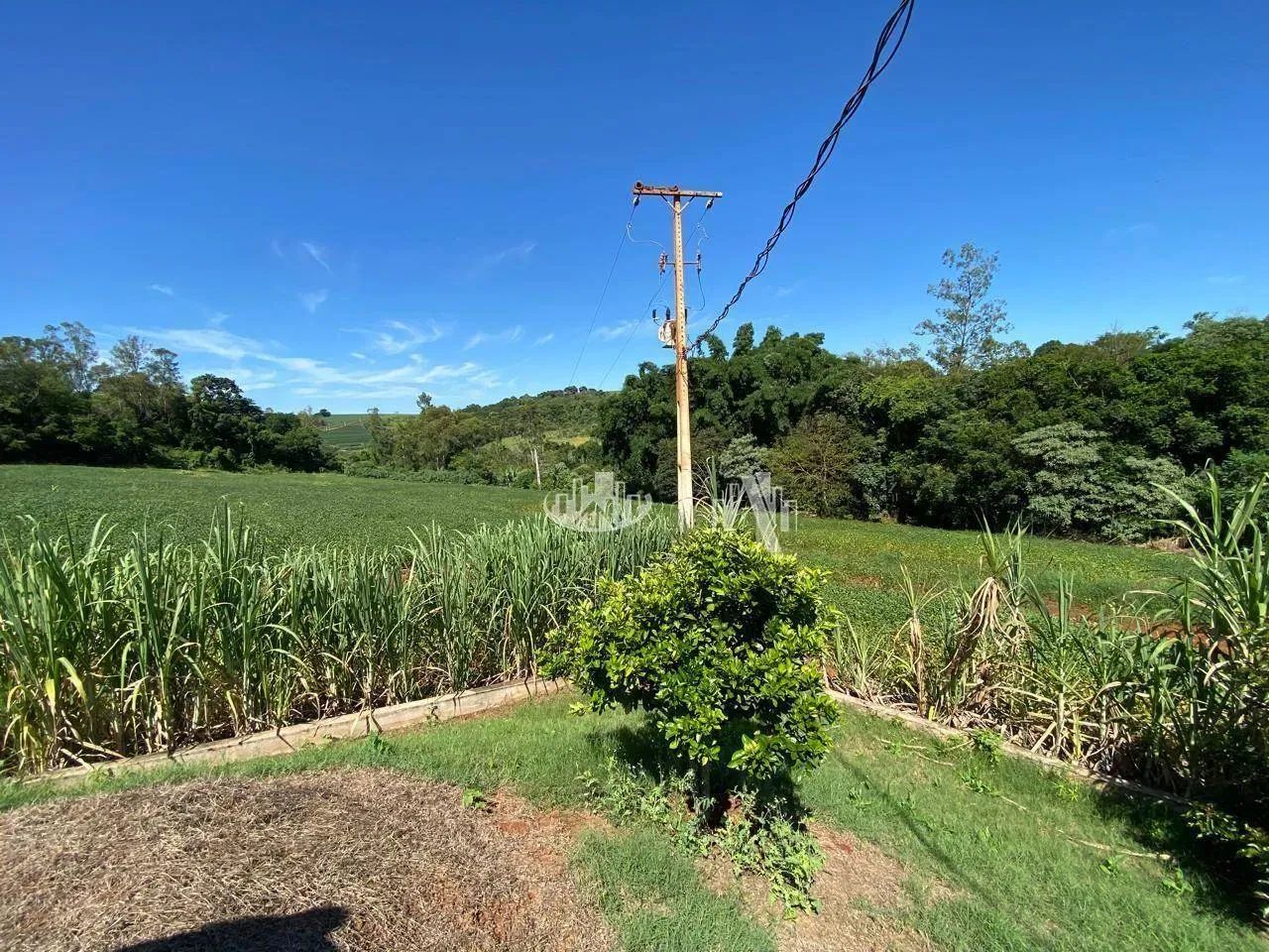 Sítio com 2 quartos à venda, 6 Alqueires por R$ 2.200.000 - São Luiz - Londrina/PR - Foto 2