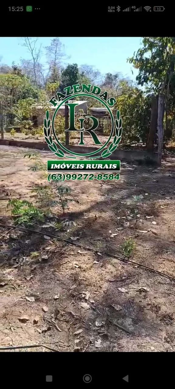 Chácara 5 alqueires com casa  Beira Rio Balsas - Foto 5