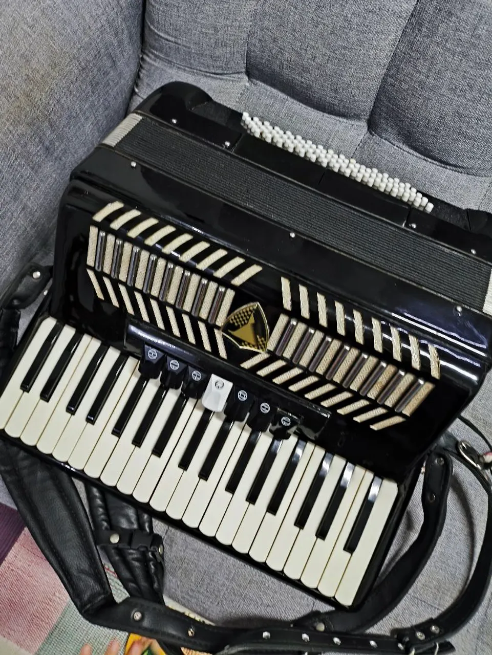Acordeon Musical Eagle - Ótima Oportunidade