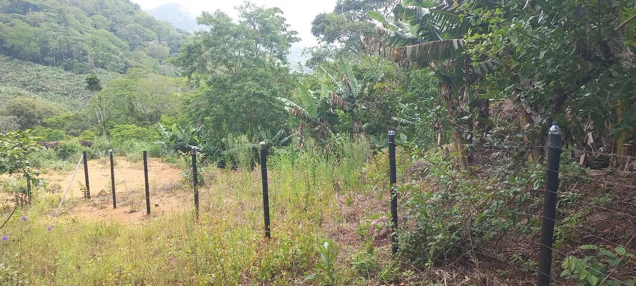  Chacara SEM CASA  10mil mts Pedro de atoledo SP - Foto 3
