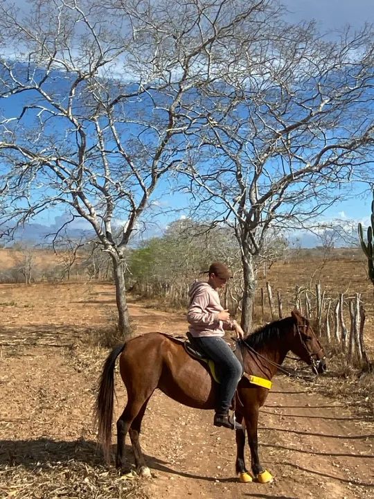 Vendo égua mestiça boa toda  - Foto 6