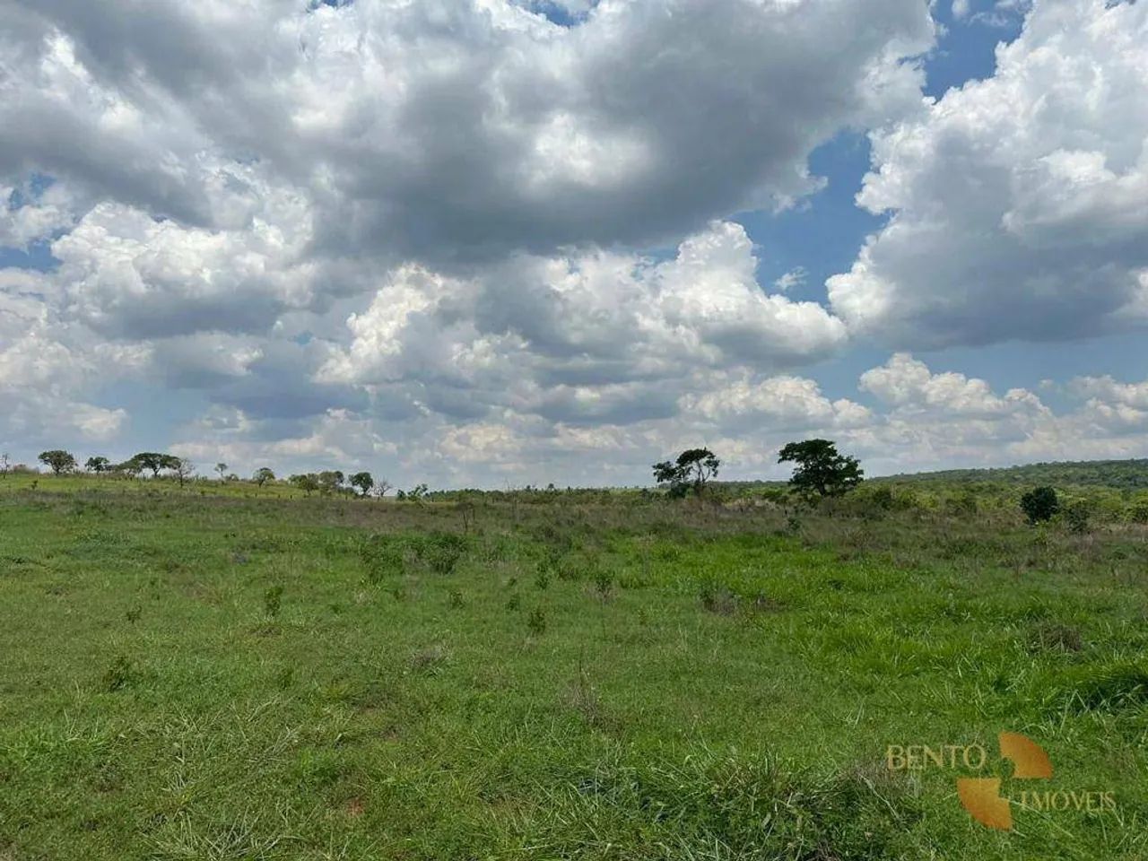 Fazenda à venda, 8090000 m² por R$ 36.549.500,00 - Zona Rural - Jaciara/MT - Foto 2