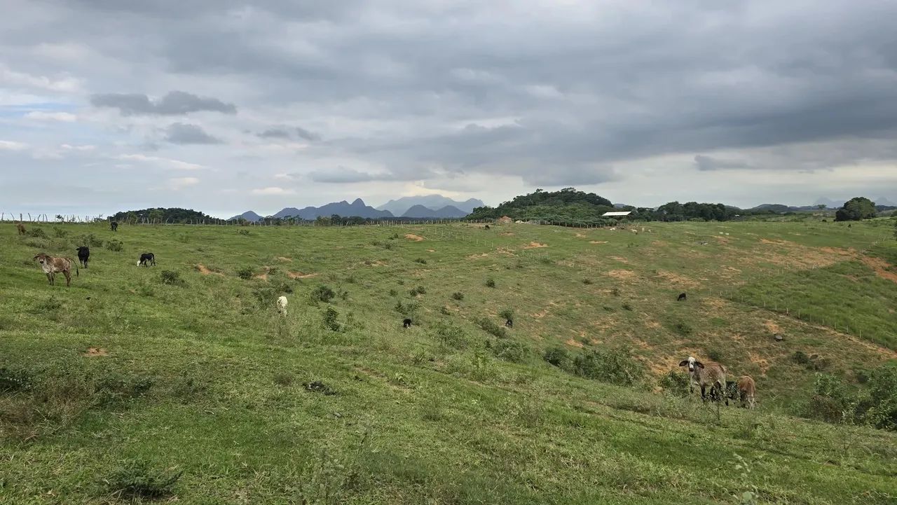 Terreno 20.000 m²  R$:30.000 Entrada + 60 parecelas no Boleto Sem Juros - Foto 3