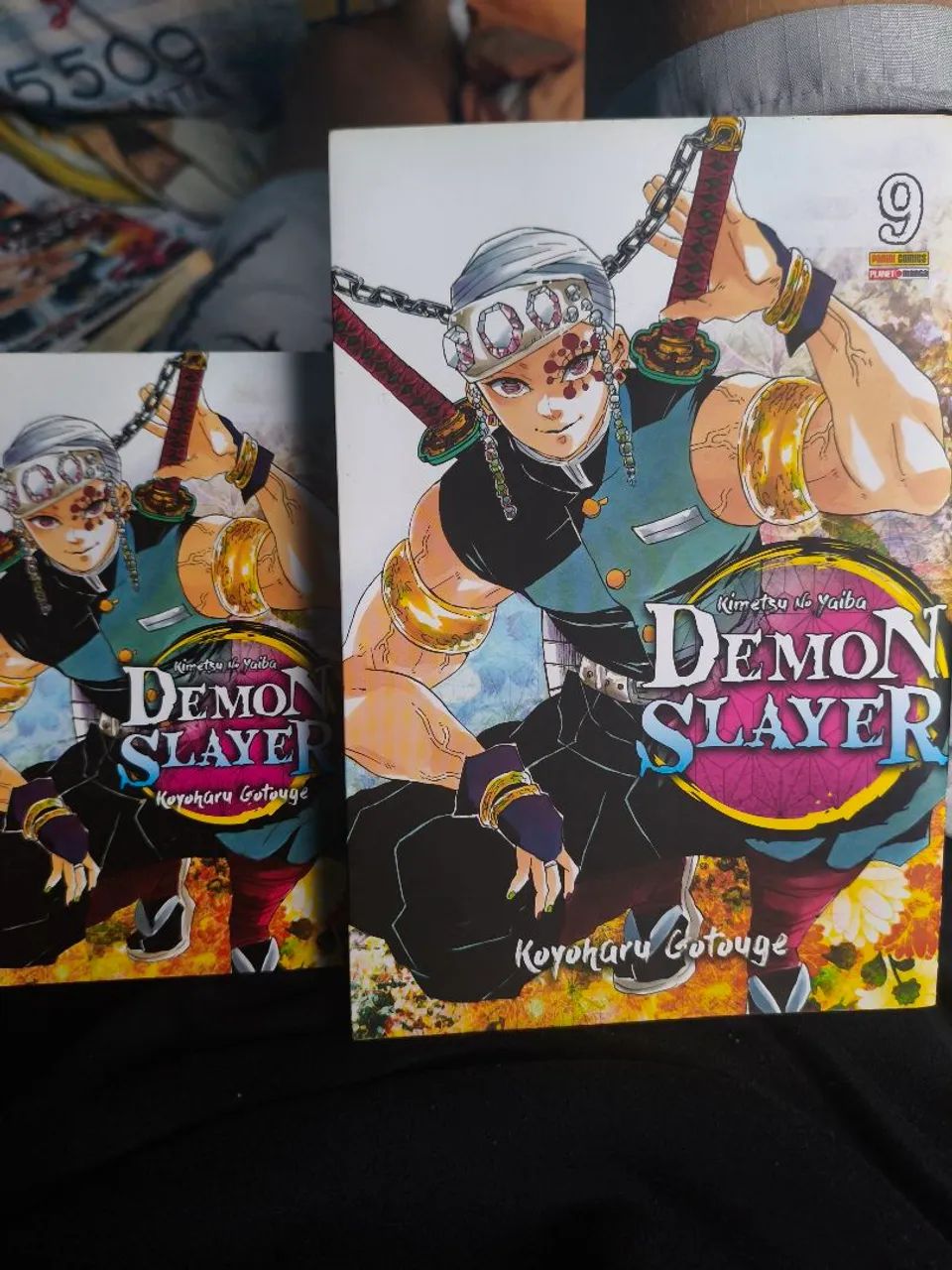 Demon Slayer, Vol.9 - Livros e revistas - Pedra do Descanso, Feira