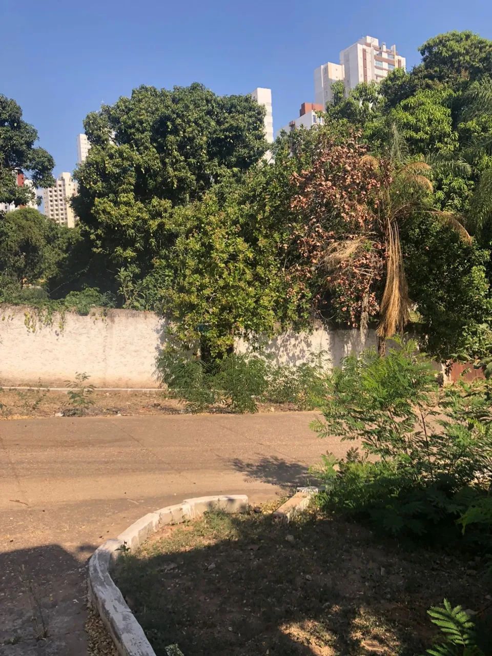 Terreno No Bairro Quilombo - Foto 5