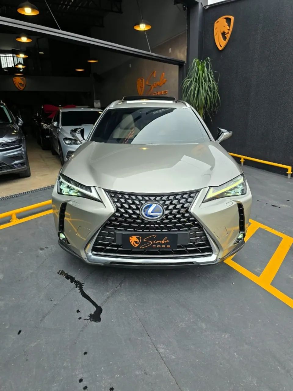 Lexus UX-250h Luxury 2.0 16V Aut.(hybrid), foto 2 de 19