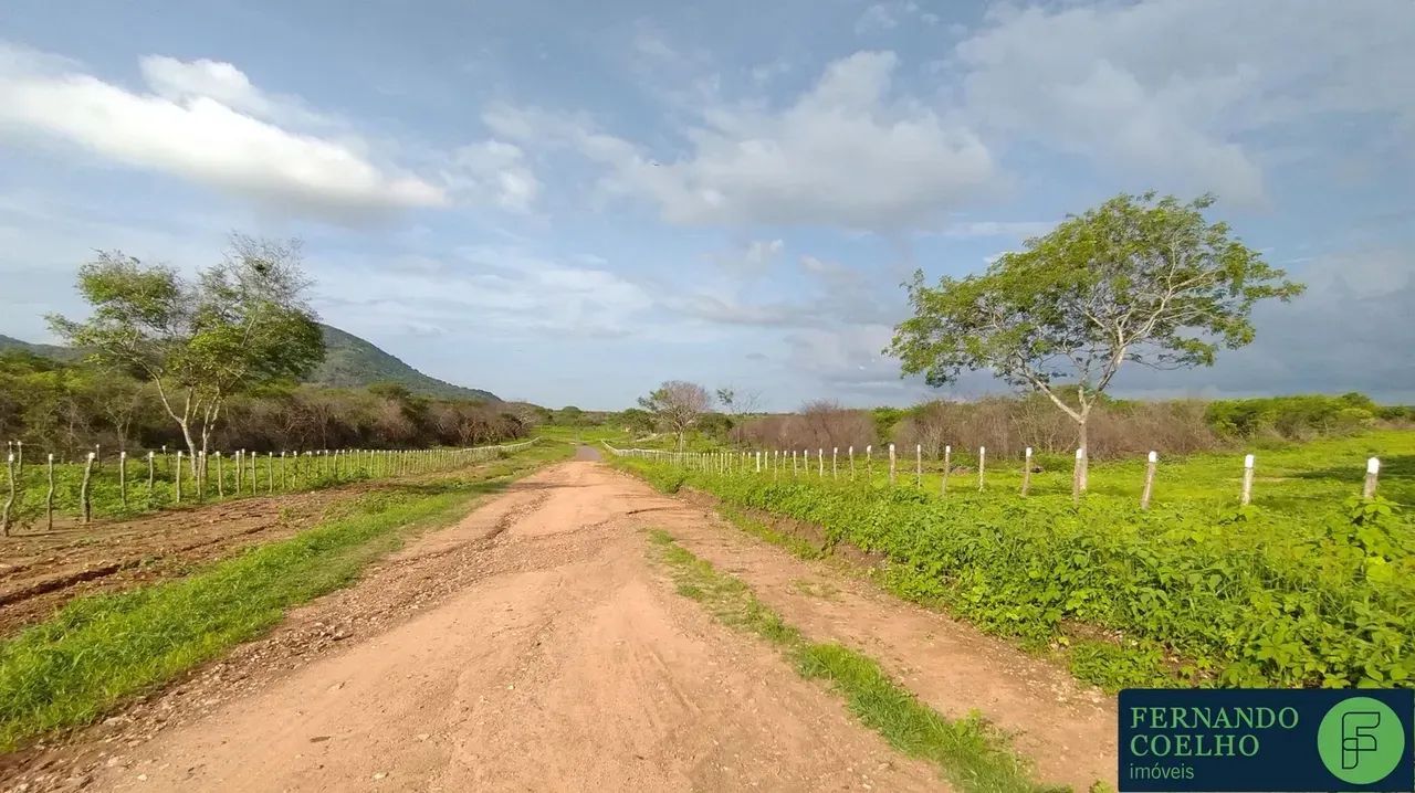 Fazenda para venda com 210ha em Umirim - CE - Foto 4