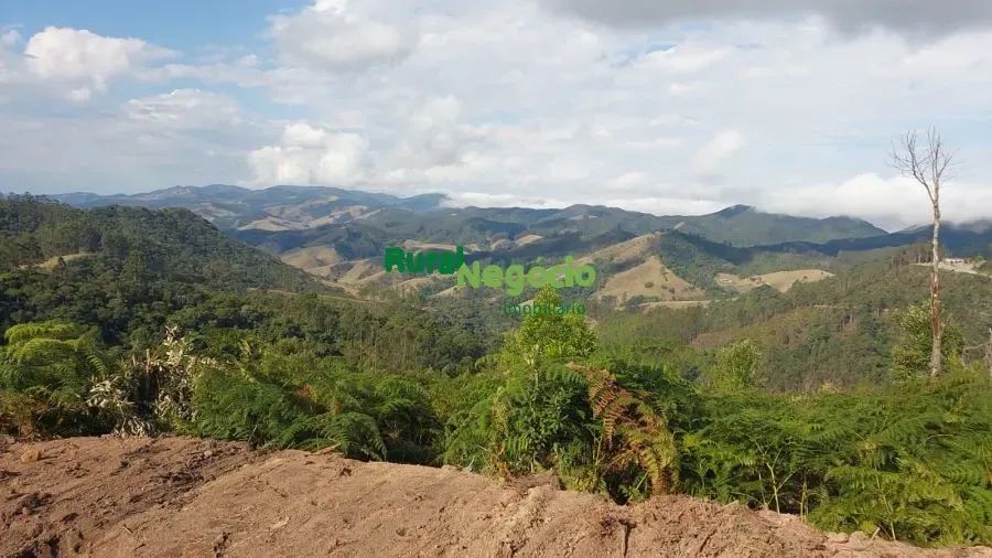 TERRENO PARA FORMAR CHÁCARAS EM SÃO LUIZ DO PARAITINGA-SP - Foto 3