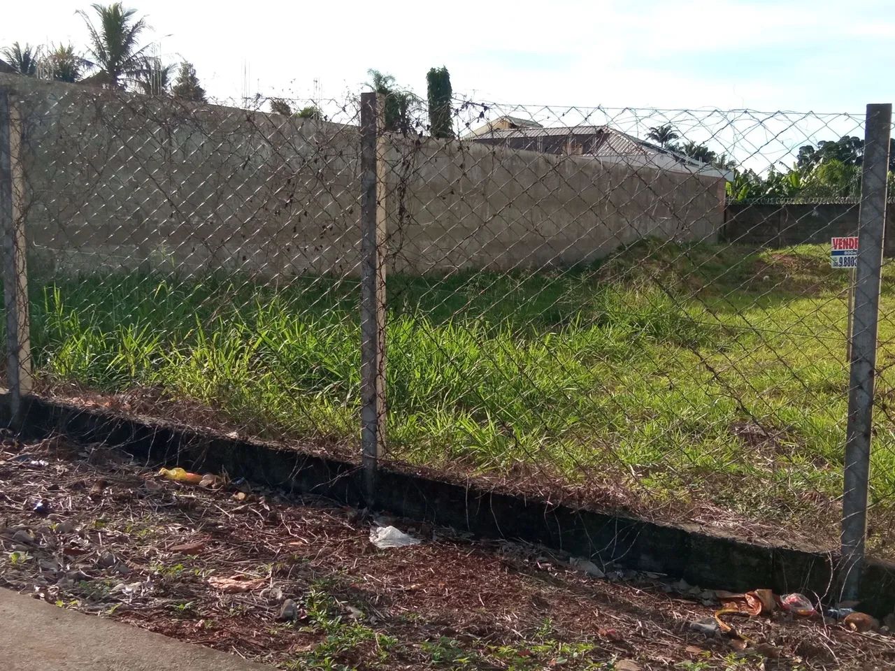 Terreno 800m2 comercial - Foto 3
