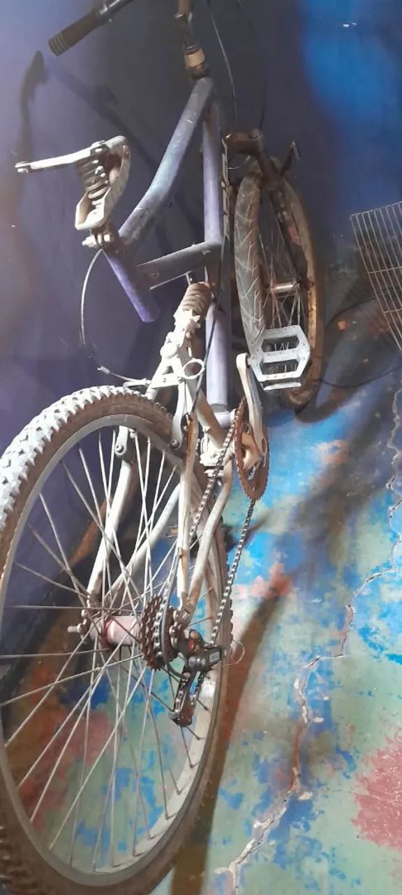 Bike $100 - Foto 2