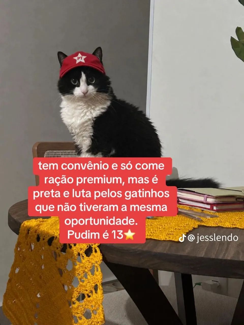 Jjj hoje - Foto 4