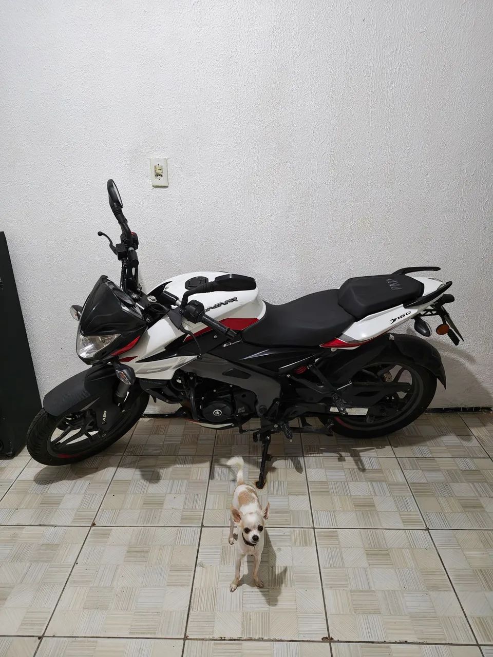 Bajaj Dominar 160 2025 - Foto 9