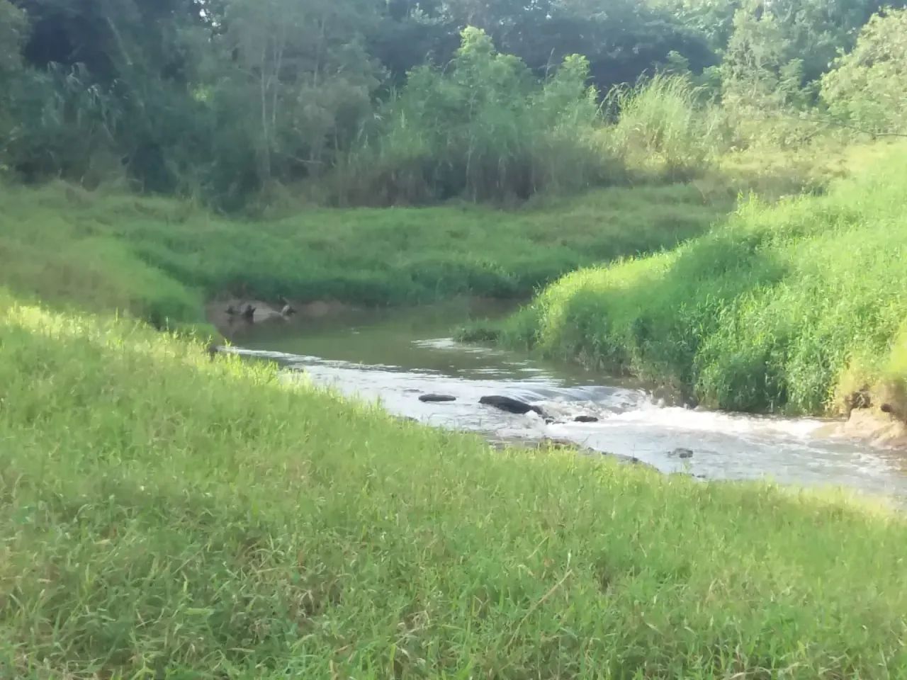 Sitio 3.87 alqueires Aguas de São Pedro SP - Foto 4