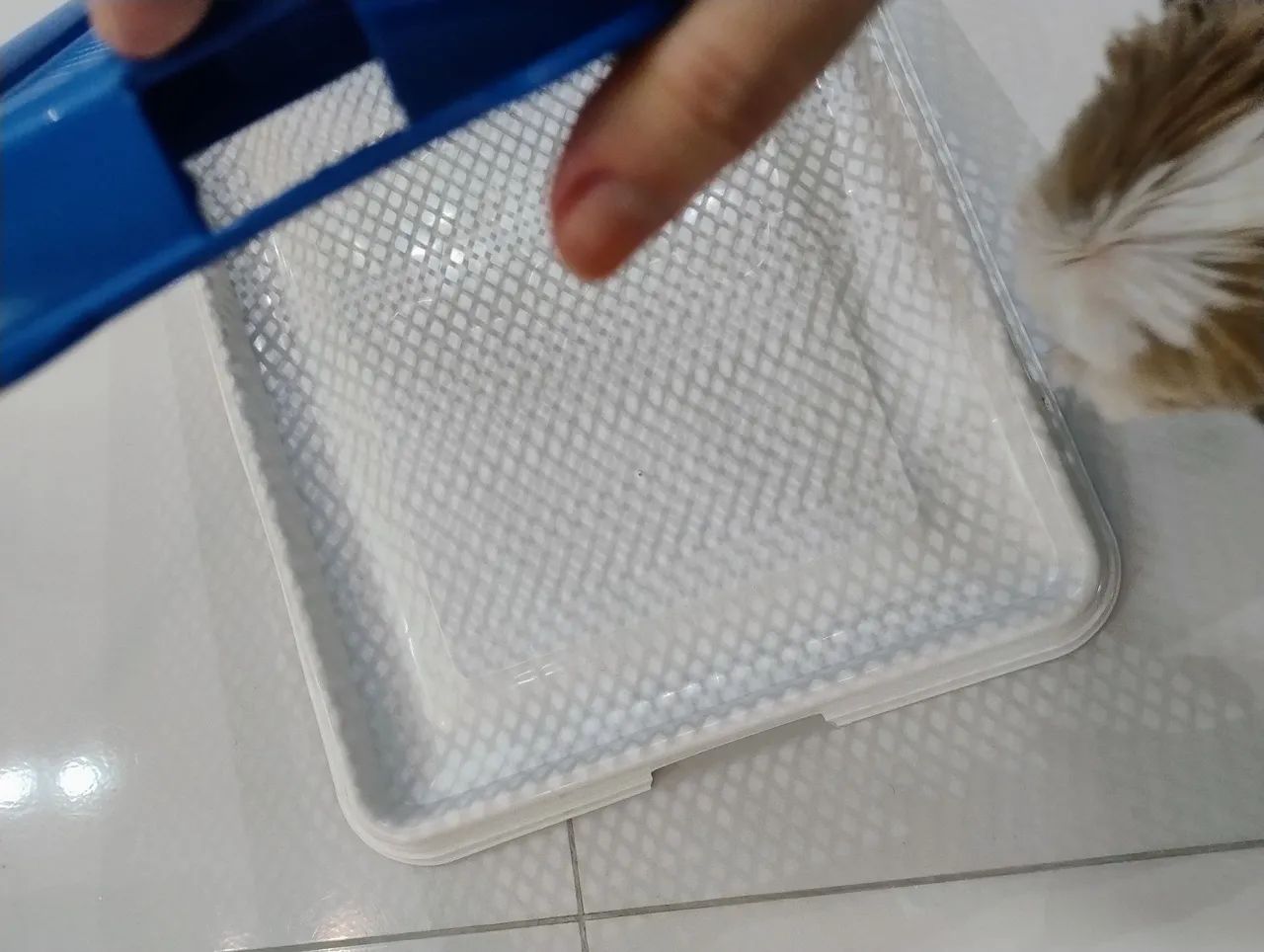 Banheiro pet - Foto 5