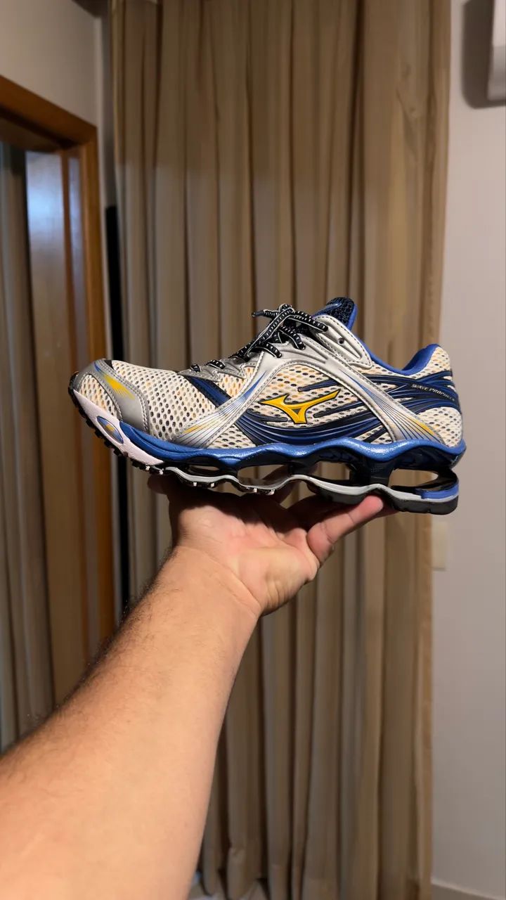 Mizuno prophecy 1 