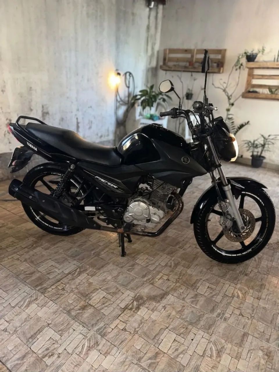 Factor 150 2019