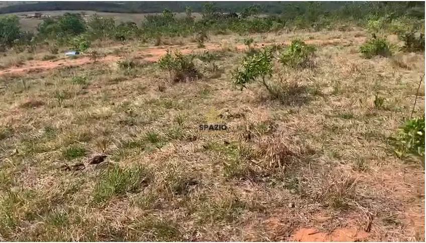 Fazenda, Centro, Rio Verde de Mato Grosso - R$ 5.5 mi, Cod: 105 - Foto 3