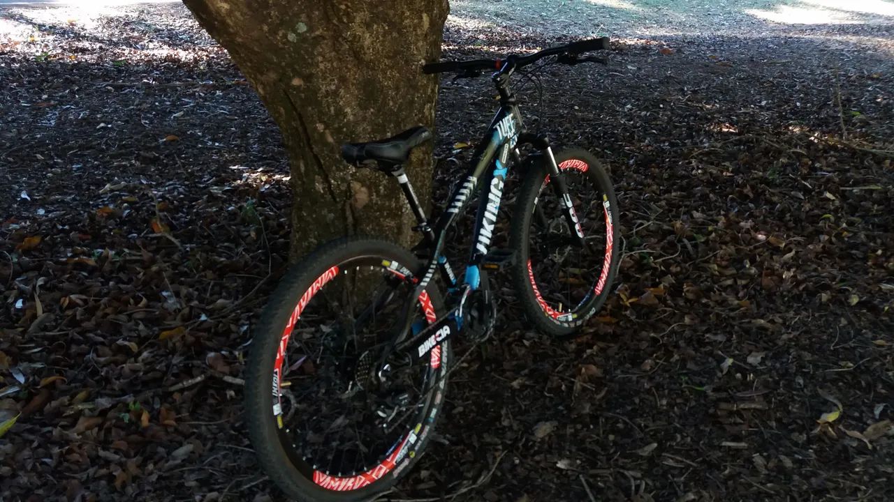 Bicicleta VikingX