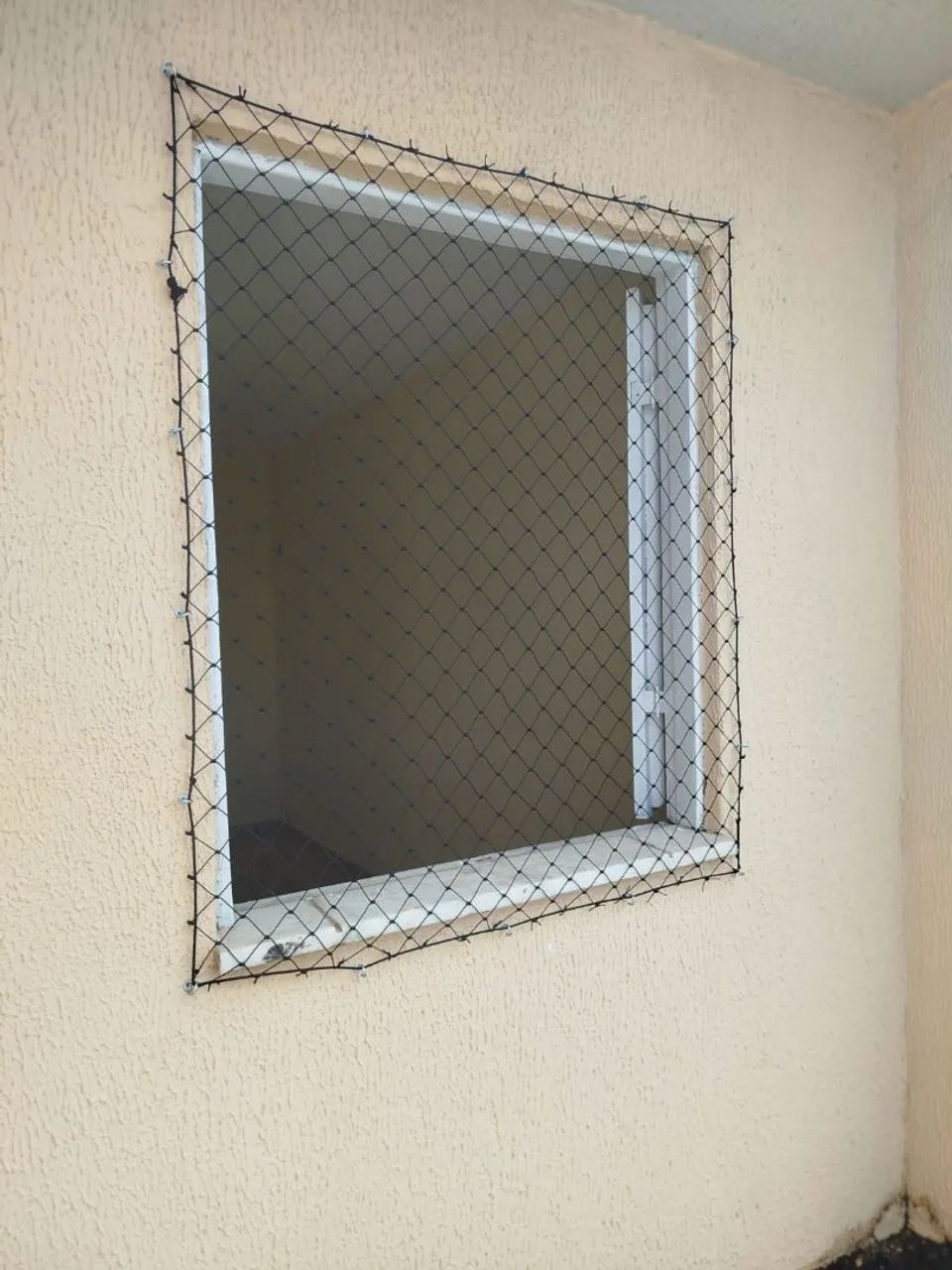Proteção para pets 