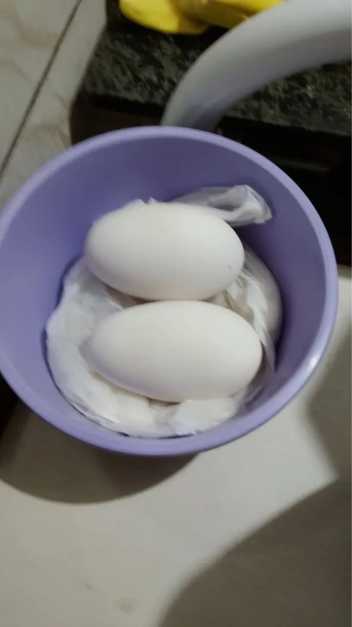 Ovos de ganso