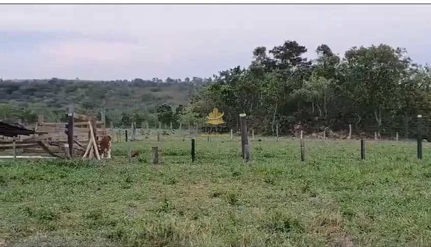 Fazenda, Centro, Rio Verde de Mato Grosso - R$ 5.5 mi, Cod: 105 - Foto 4