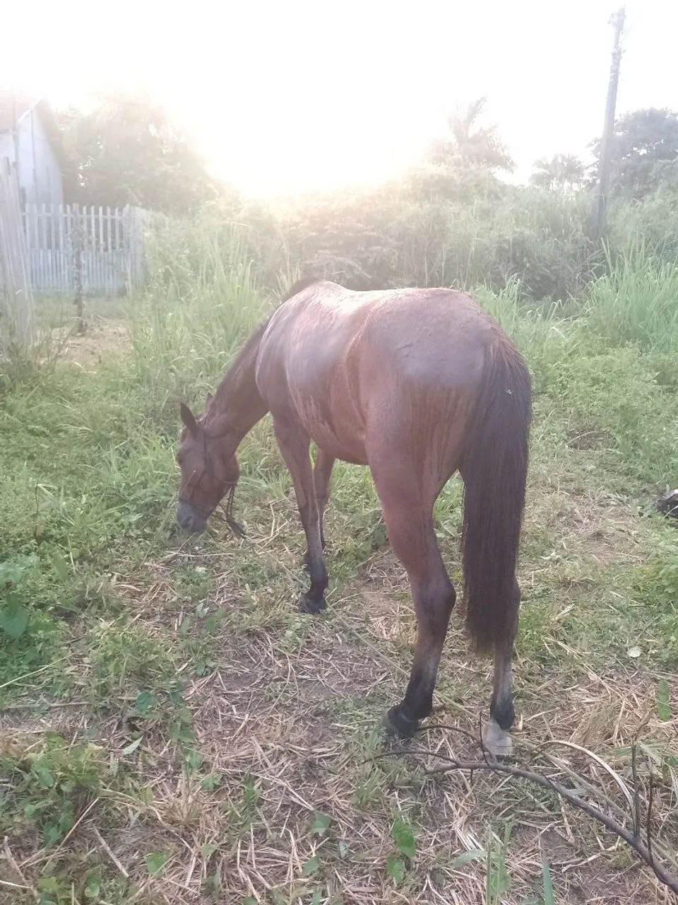 Vende-se polda de 2 anos e meio  - Foto 4