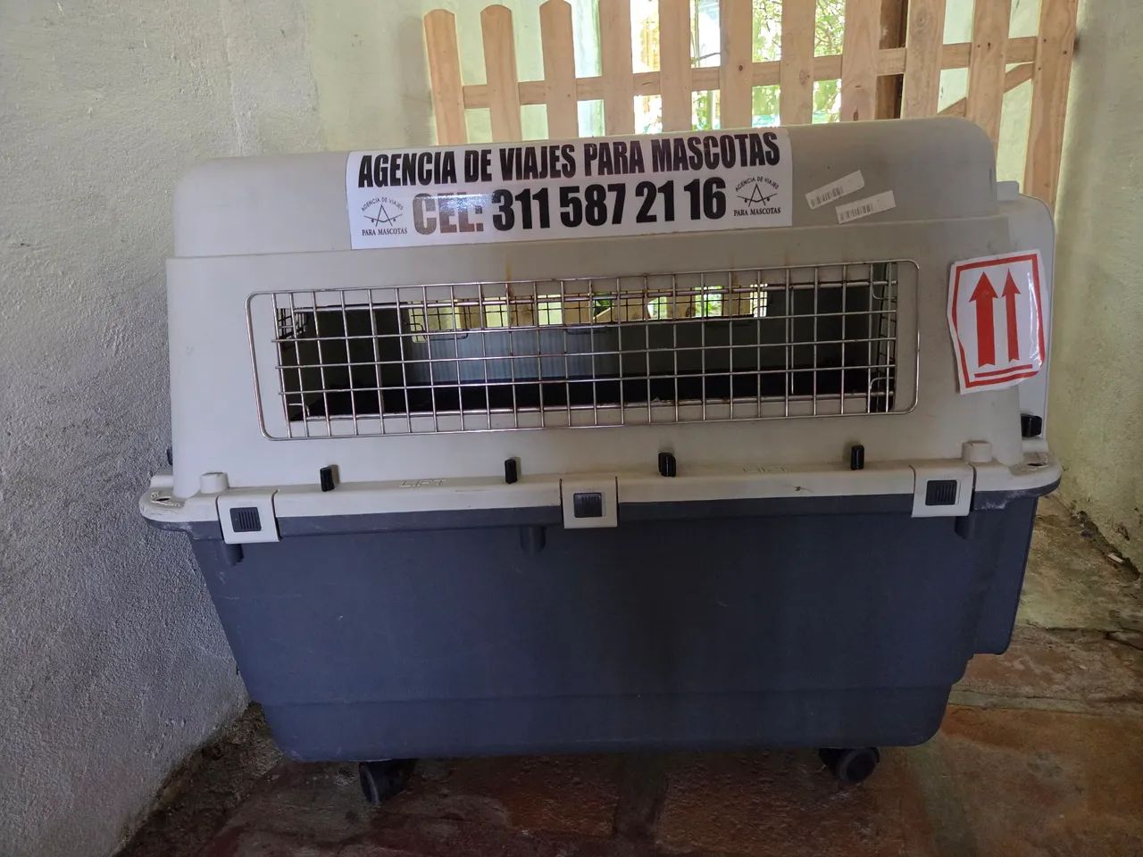 Caixa de Transporte para cachorro - Foto 5