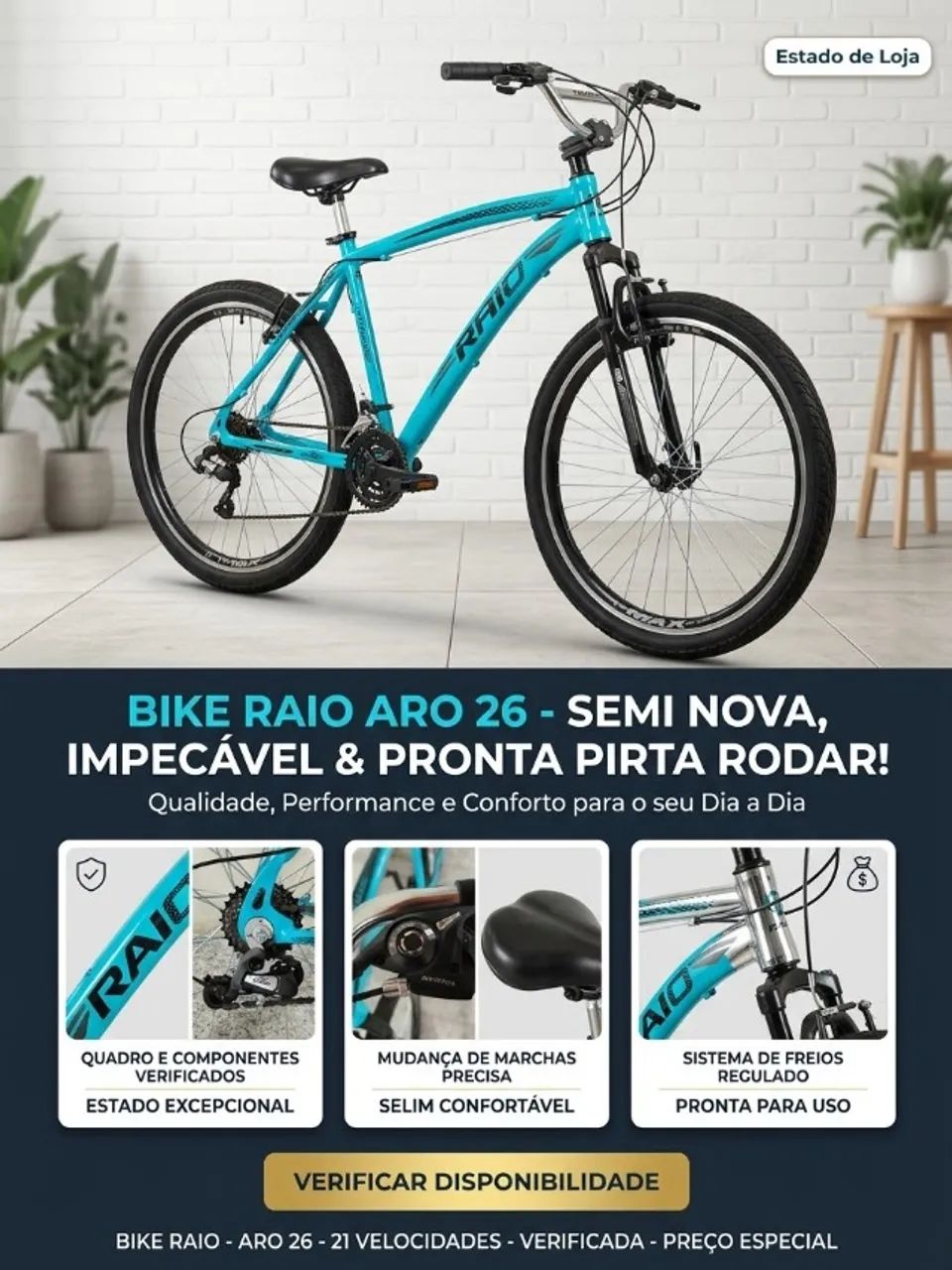Bicicleta