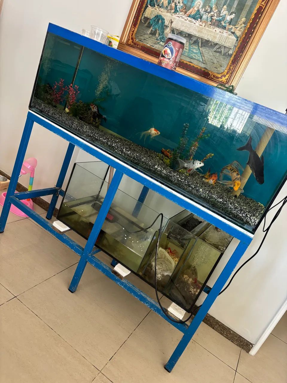 Aquário  - Foto 4